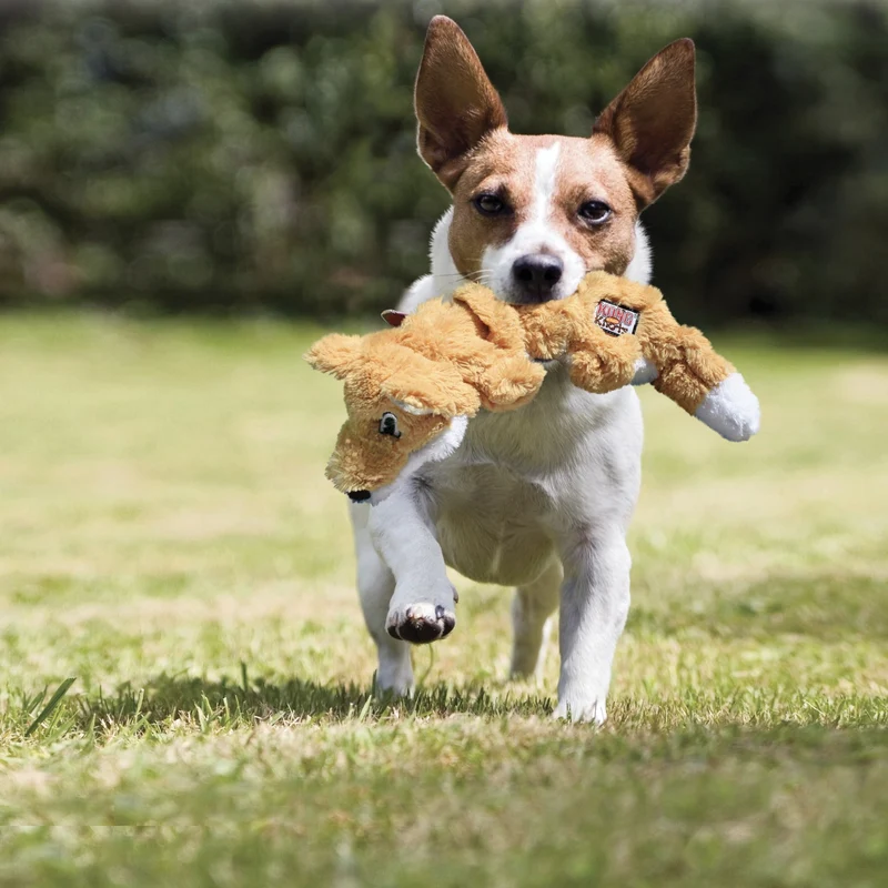 KONG Scrunch Knots Eichhörnchen – Robustes Hundespielzeug mit verstärkten Knoten für intensive Zerrspiele & langanhaltenden Kauspaß