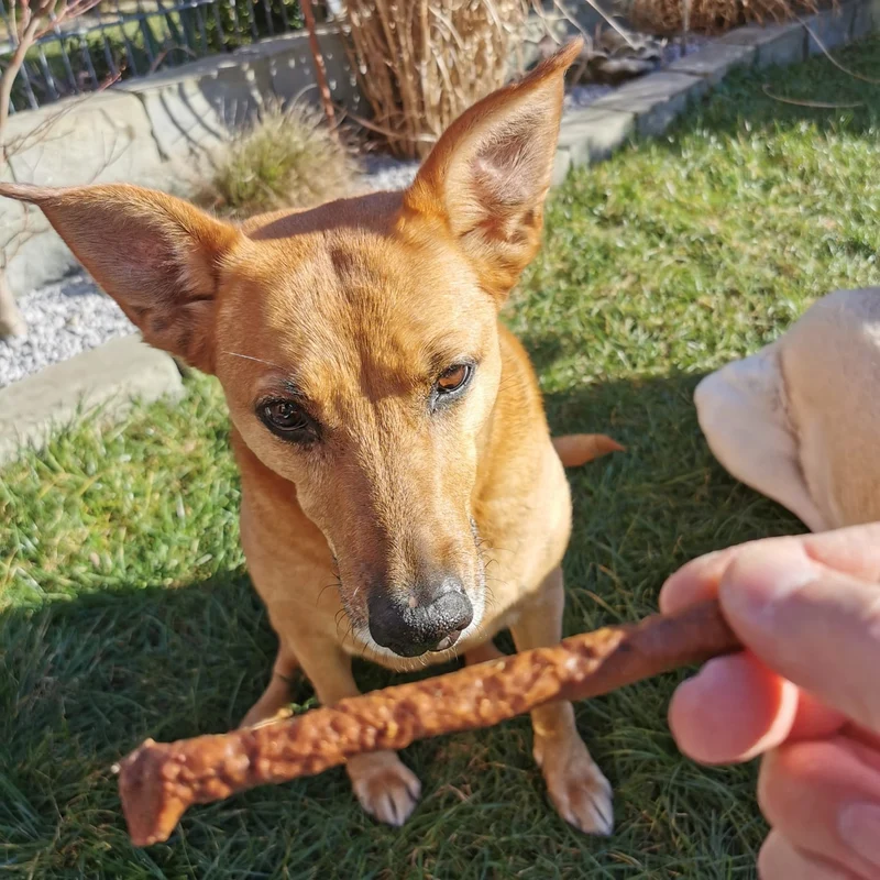 Hirsch-Sticks