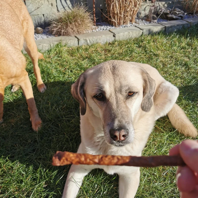 Hirsch-Sticks