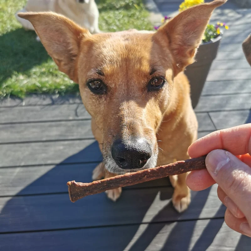 Hirsch-Sticks