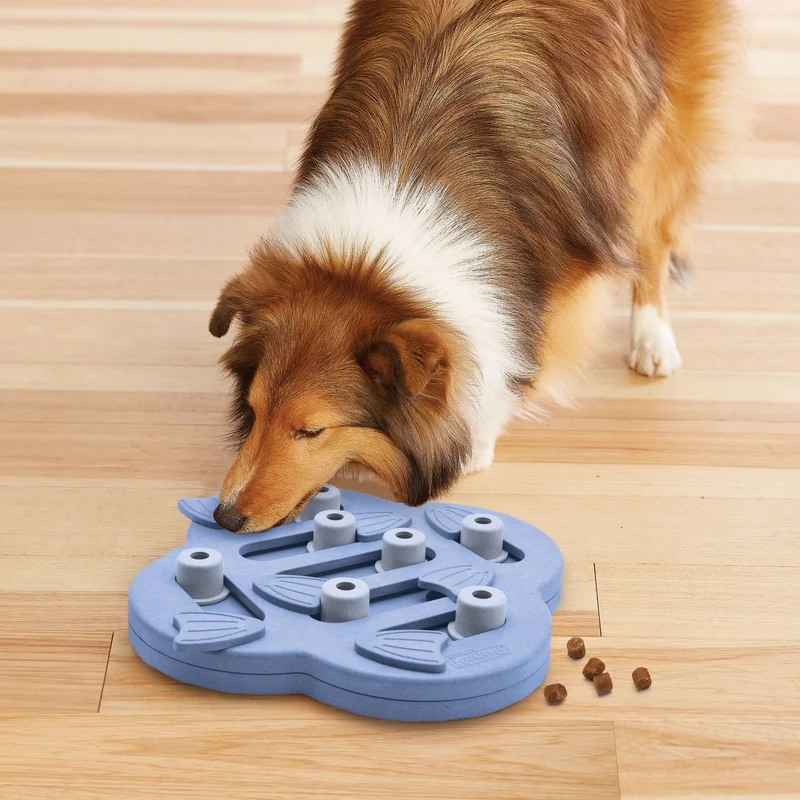 Nina Ottosson Dog Hide N' Slide – Interaktives Intelligenzspielzeug gegen Langeweile, Stress & Schlingfuttern | Level 2 Denkspiel für mentale Auslastung
