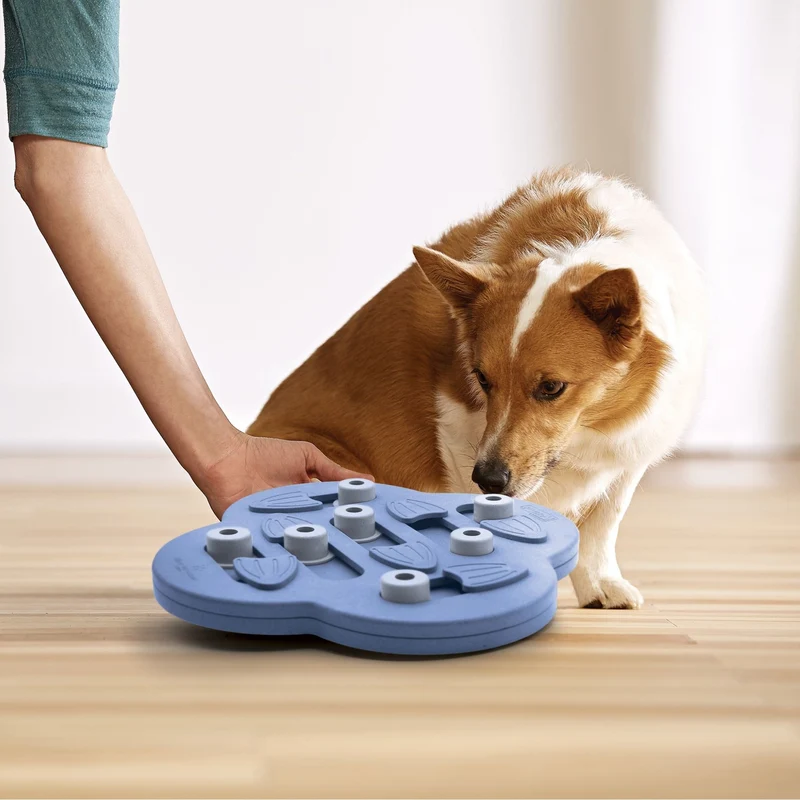 Nina Ottosson Dog Hide N' Slide – Interaktives Intelligenzspielzeug gegen Langeweile, Stress & Schlingfuttern | Level 2 Denkspiel für mentale Auslastung