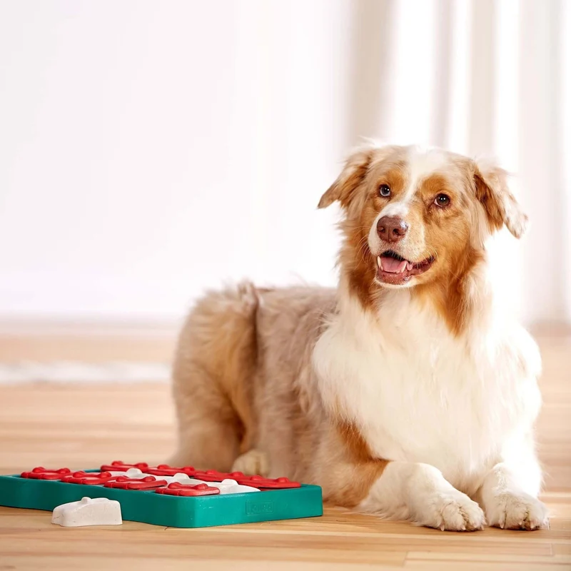 Nina Ottosson Dog Brick – Interaktives Intelligenzspielzeug gegen Langeweile & Unterforderung – Level 2
