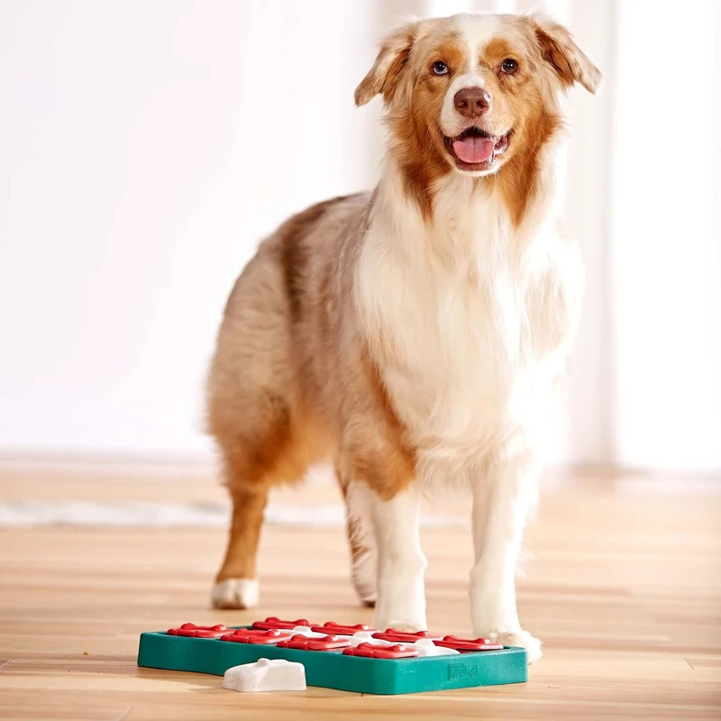 Nina Ottosson Dog Brick – Interaktives Intelligenzspielzeug gegen Langeweile & Unterforderung – Level 2