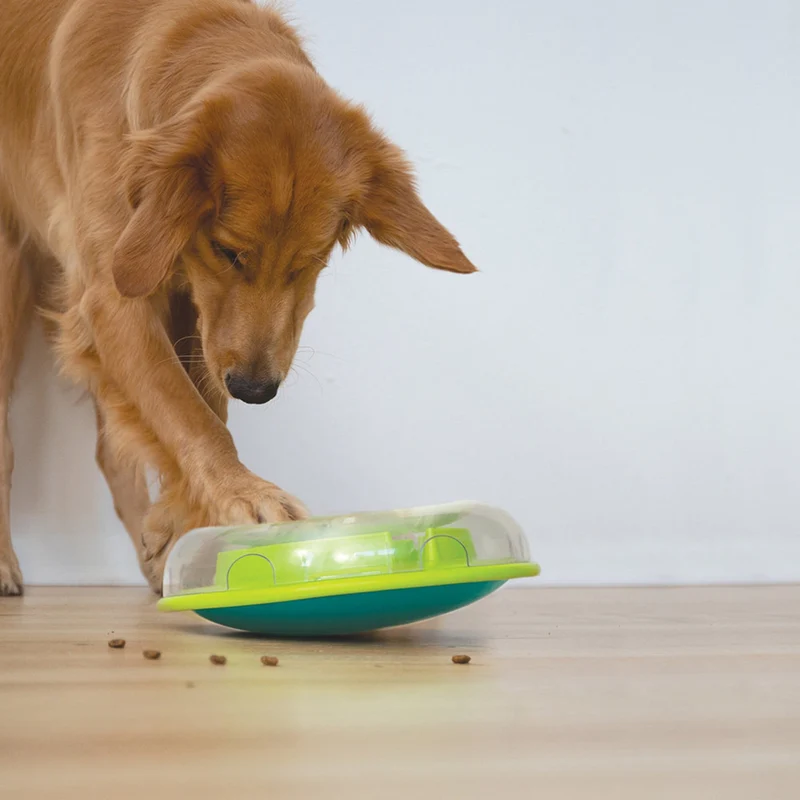 Nina Ottosson Wobble Bowl – Anti-Schling-Napf & Intelligenzspielzeug für Hunde – Fördert langsames Fressen & mentale Auslastung – Level 1