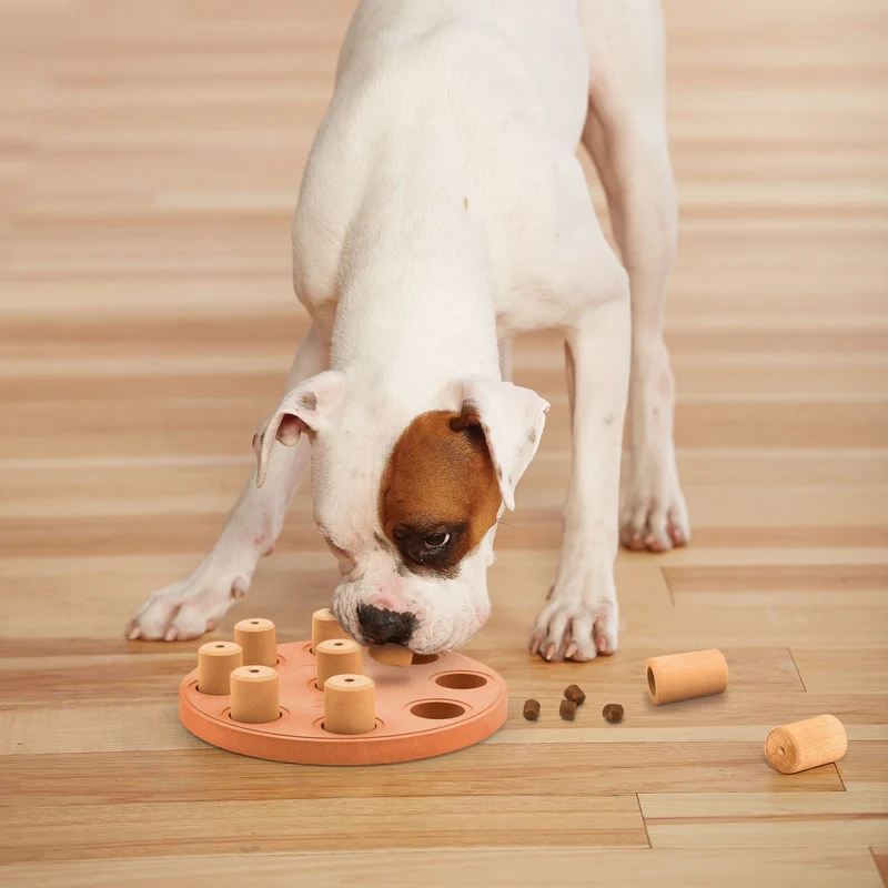 Nina Ottosson Dog Smart – Interaktives Intelligenzspielzeug für Hunde – Fördert Konzentration & Auslastung – Level 1 für Einsteiger