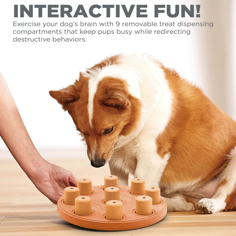 Nina Ottosson Dog Smart – Interaktives Intelligenzspielzeug für Hunde – Fördert Konzentration & Auslastung – Level 1 für Einsteiger
