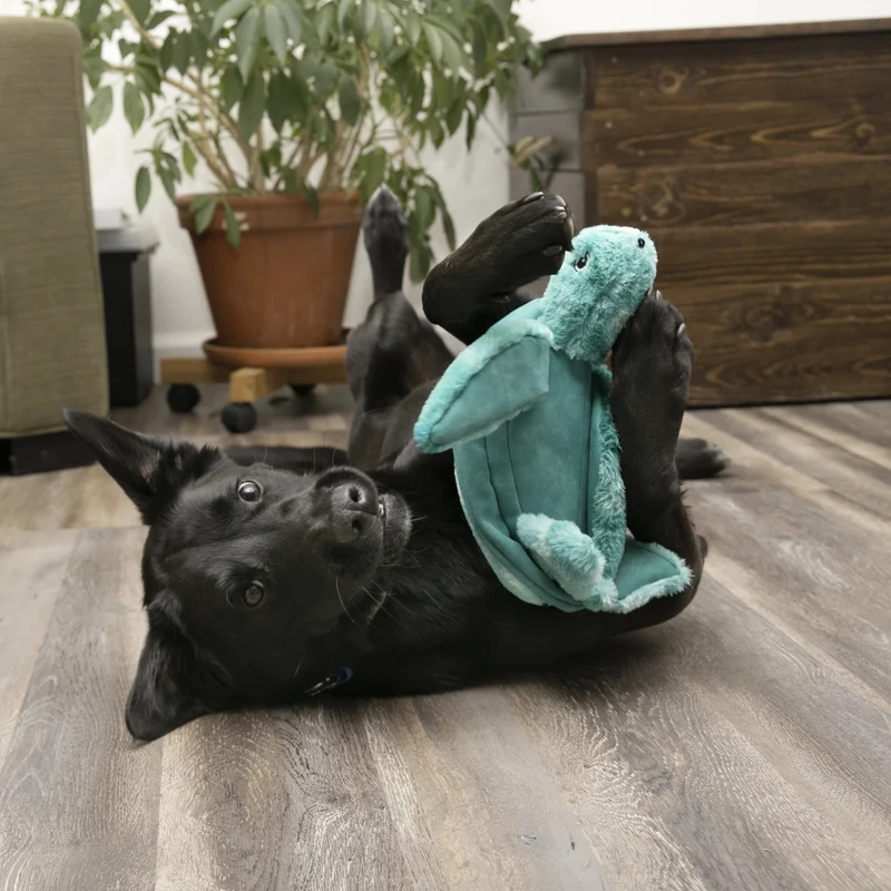 KONG SoftSeas Turtle – Plüsch-Hundespielzeug mit Quietscher & Knistereffekt für interaktiven Wasserspaß und langanhaltende Beschäftigung
