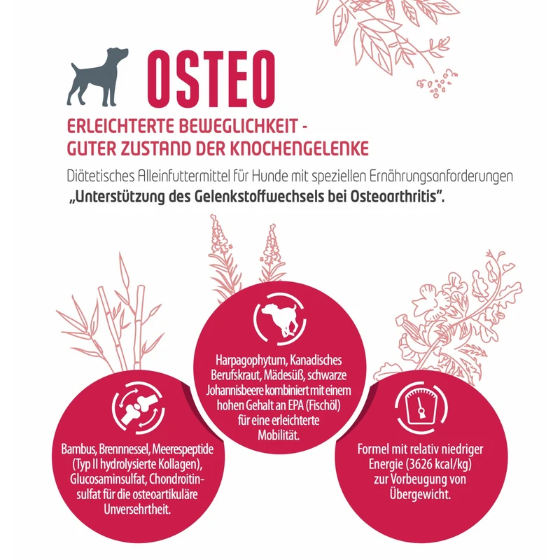 Flatazor Pro-Nutrition Protect OSTEO – Premium Gelenkschutz-Futter für aktive Hunde mit Glucosamin & Chondroitin