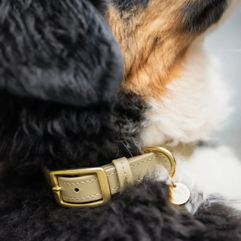 Fatissimo | Biothane Halsband Classic