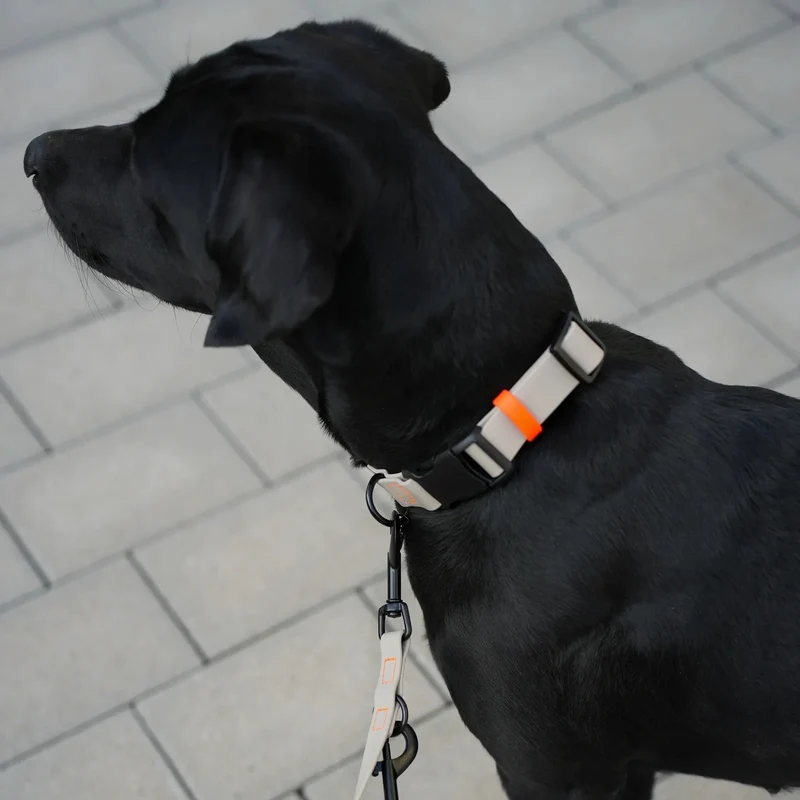 Fatissimo | Biothane Halsband NEMI KLICK
