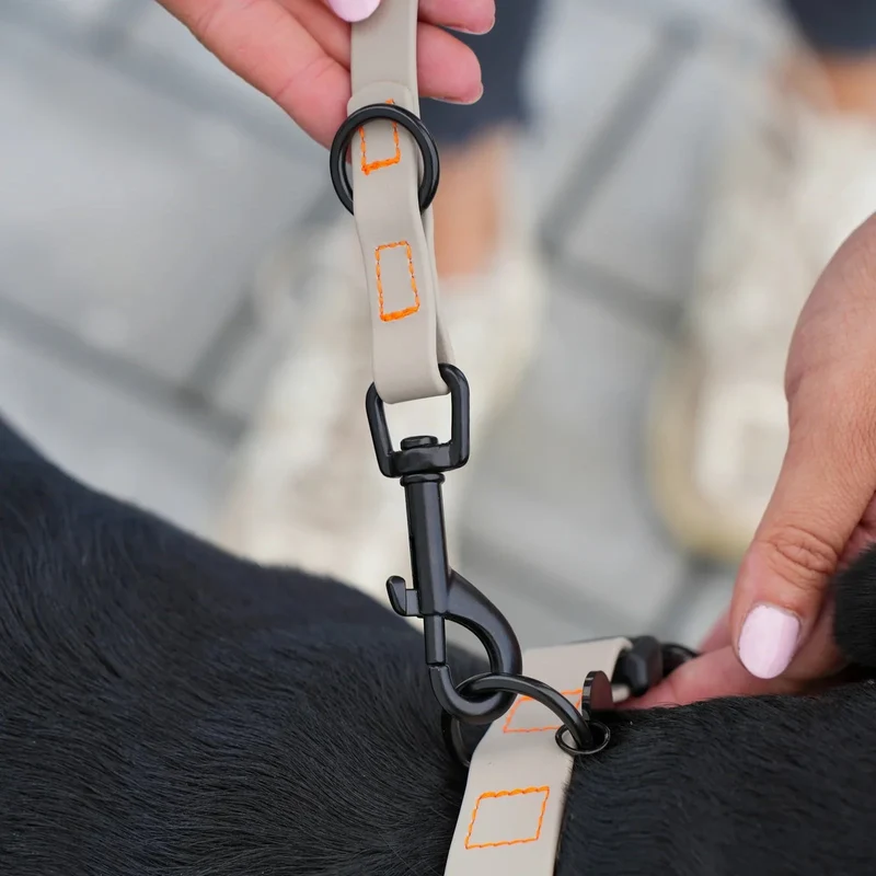 Fatissimo | Biothane Halsband NEMI KLICK