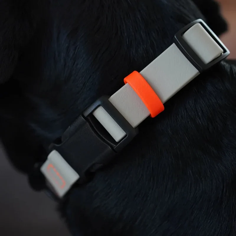 Fatissimo | Biothane Halsband NEMI KLICK
