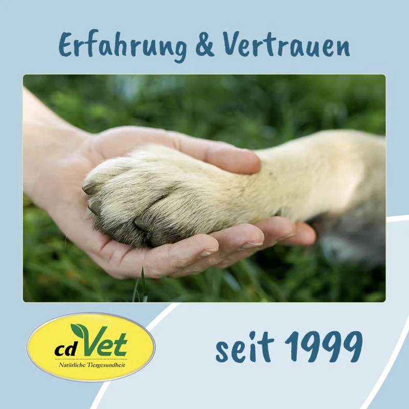 cdVet VeaVet WundEx Spray – Natürliche Wundpflege für Hunde & Katzen bei empfindlicher, gereizter Haut