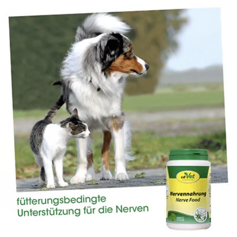 cdVet Nervennahrung – Natürliche Beruhigung für nervöse & ängstliche Hunde und Katzen bei Stress, Angst und Unruhe