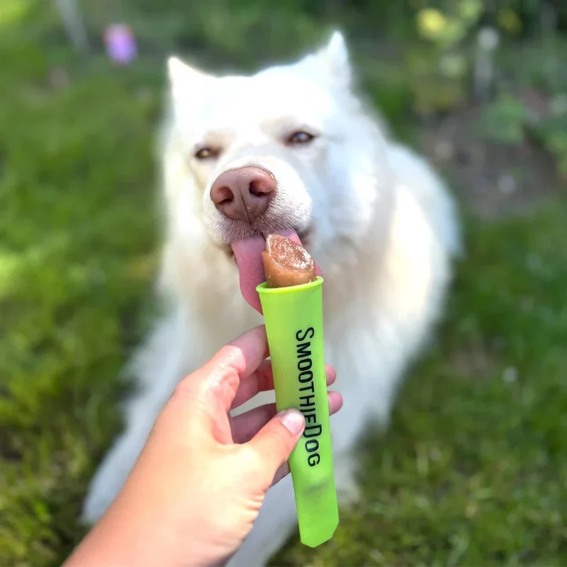 SmoothieDog | EisPop Form