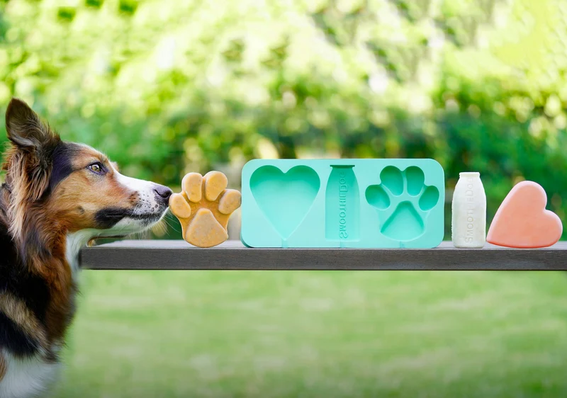 SmoothieDog | Eisform