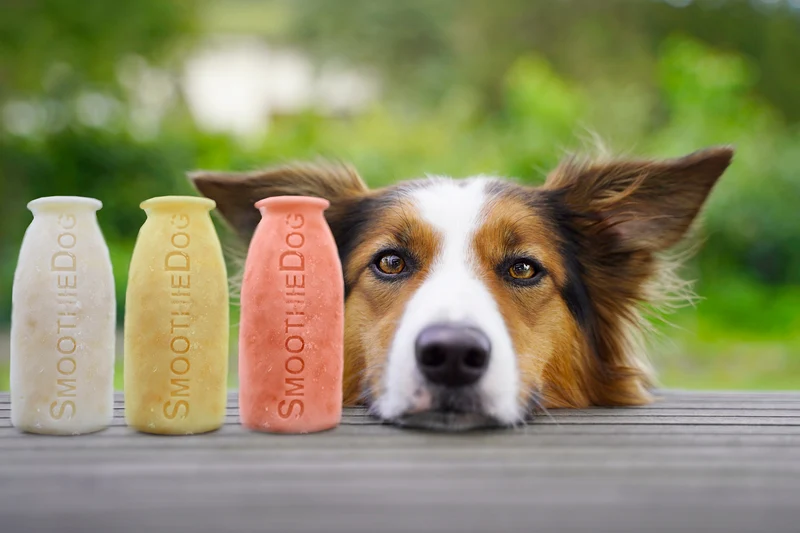 SmoothieDog | Eisform
