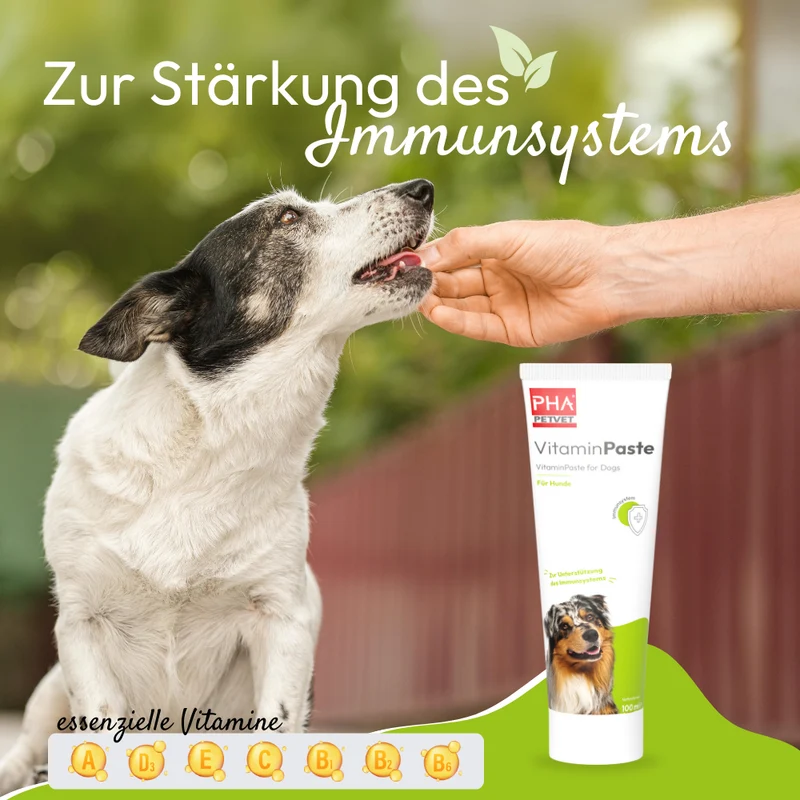 PHA VitaminPaste für Hunde - 100 ml - 5 Stück