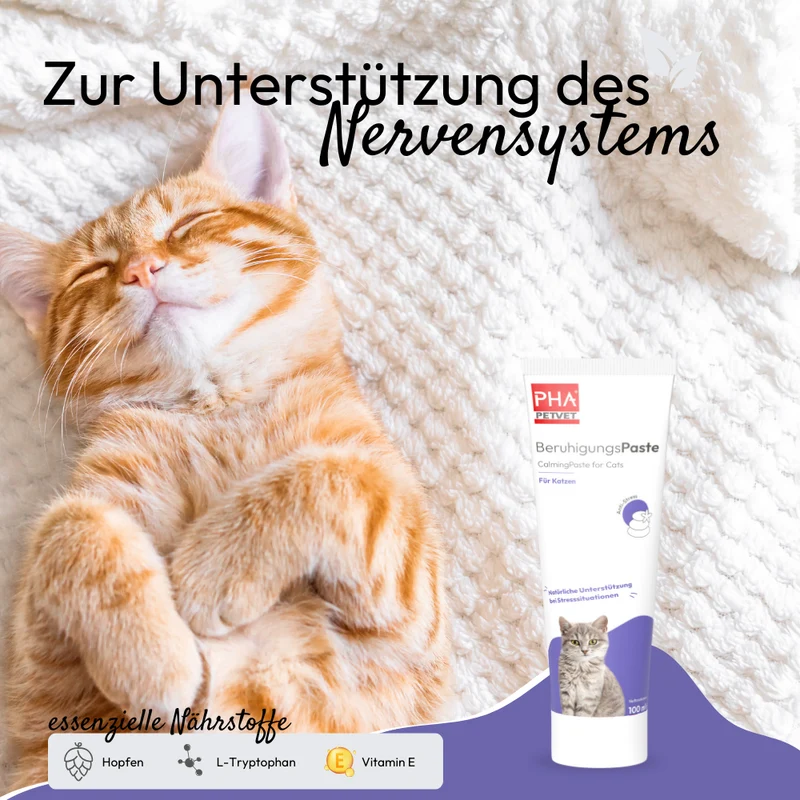 PHA BeruhigungsPaste für Katzen - 100 ml - 5 Stück