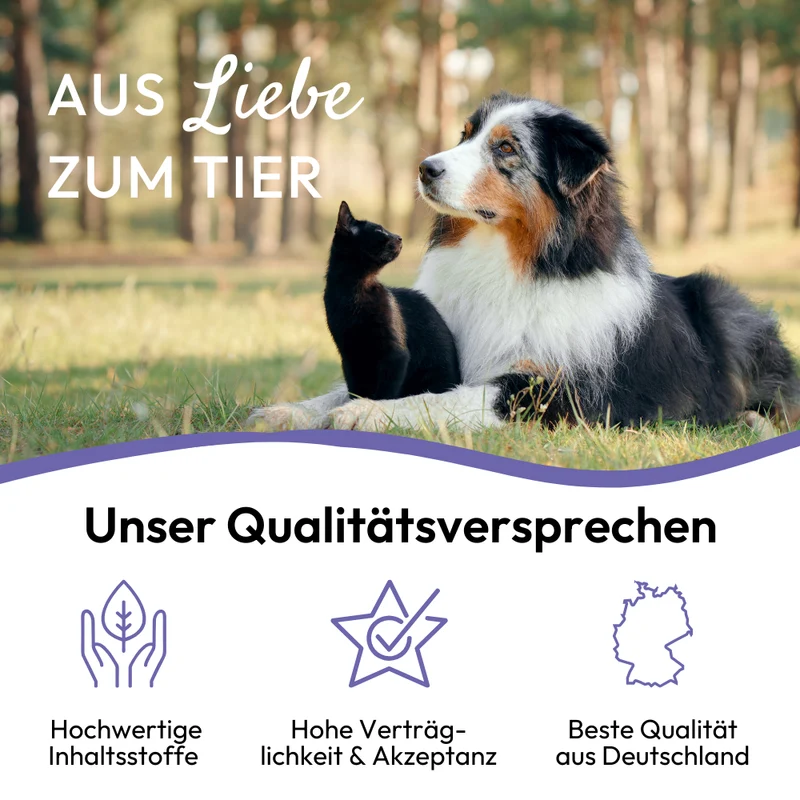 PHA BeruhigungsPaste für Katzen - 100 ml - 5 Stück