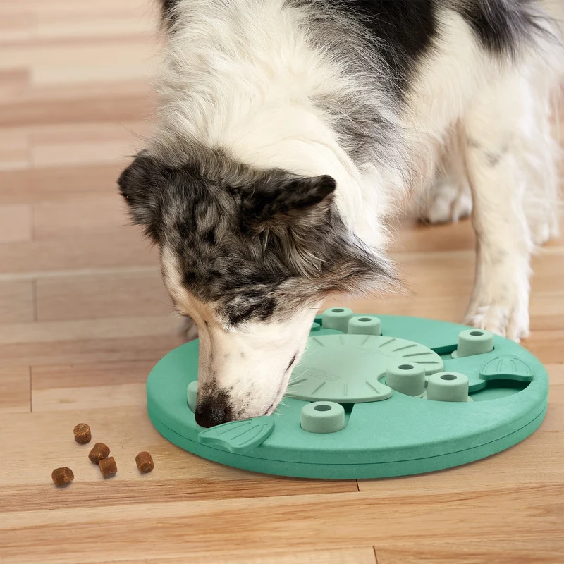 Nina Ottosson Dog Worker – Premium Intelligenzspielzeug Level 3 gegen Langeweile & Unterforderung