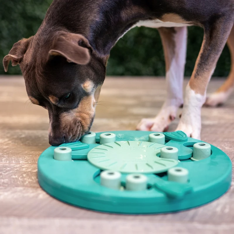 Nina Ottosson Dog Worker – Premium Intelligenzspielzeug Level 3 gegen Langeweile & Unterforderung