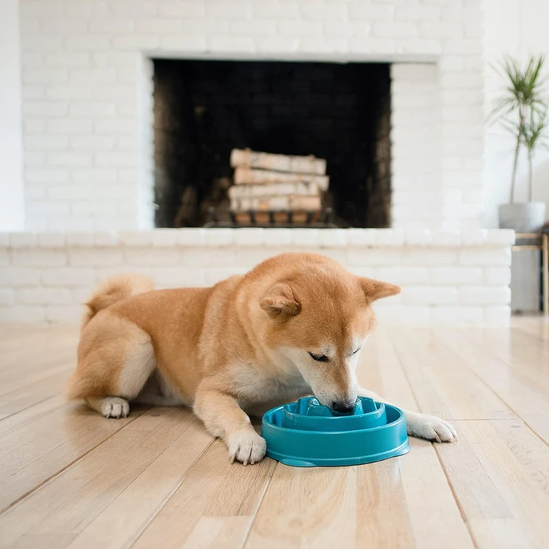Outward Hound Fun Feeder Slo Bowl – Anti-Schling Napf für gesundes, langsames Fressen & bessere Verdauung