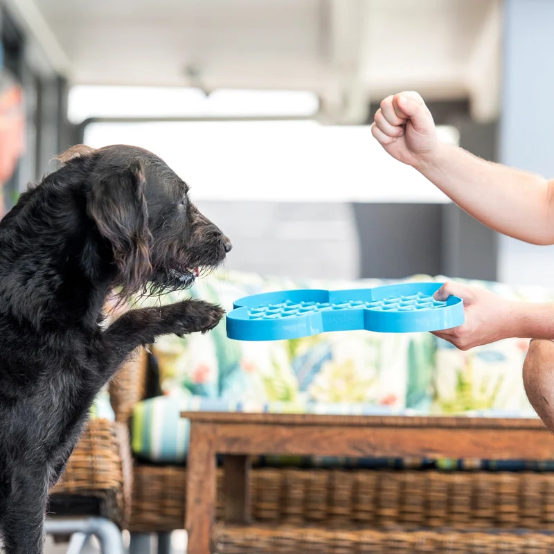 LickiMat Slodog Anti-Schling Napf – Langsames Fressen für gesunde Verdauung & entspannte Mahlzeiten