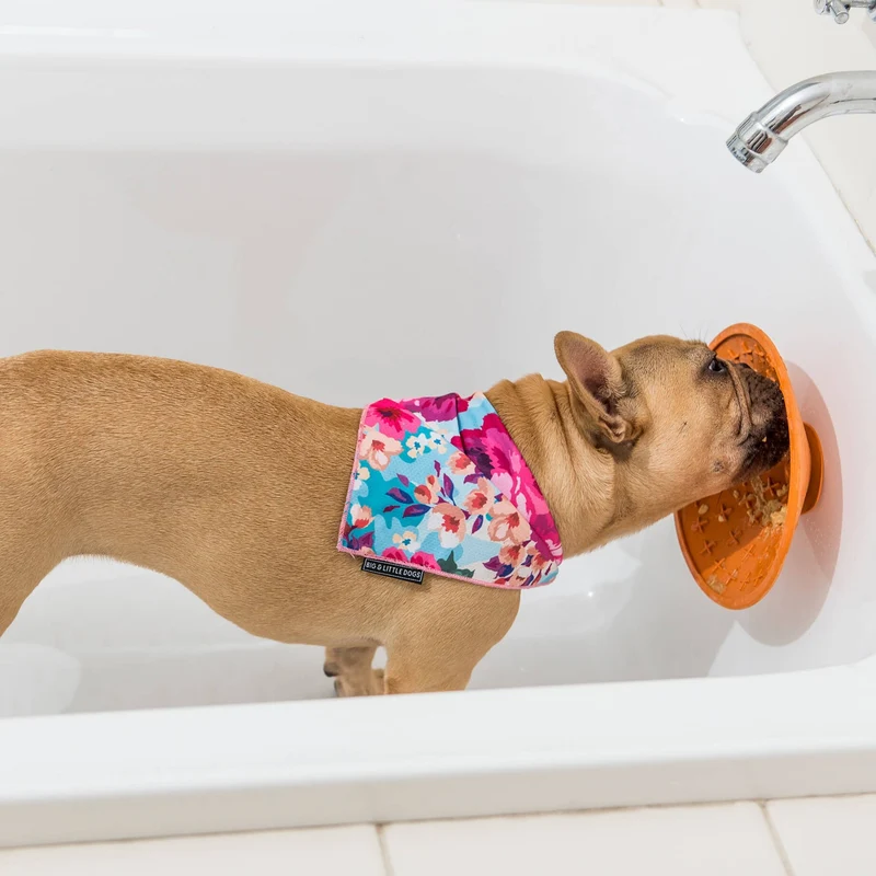 LickiMat Splash Schleckmatte mit Saugnapf – Anti-Stress & Beruhigung für Hunde beim Baden & Duschen