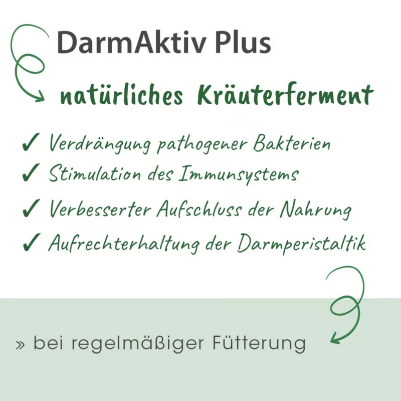 cdVet DarmAktiv plus – Natürliche Darmunterstützung für Hunde mit Kräutern & Kieselgur für gesunde Verdauung und Vitalität