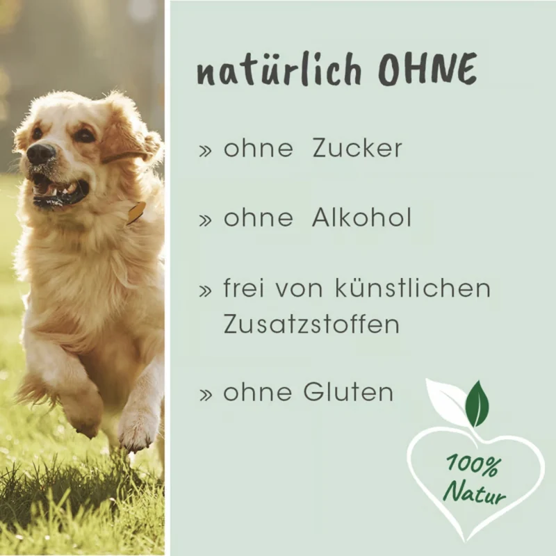 cdVet DarmAktiv plus – Natürliche Darmunterstützung für Hunde mit Kräutern & Kieselgur für gesunde Verdauung und Vitalität