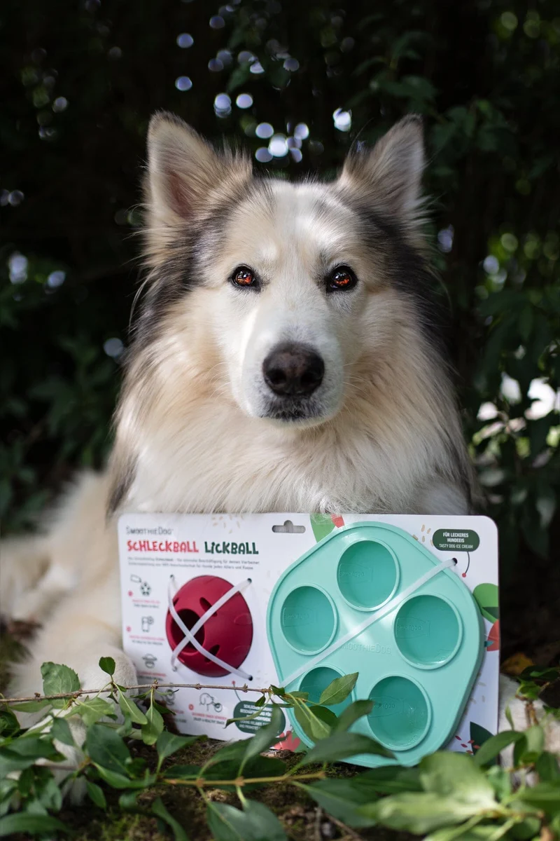 SmoothieDog | Schleckball Set