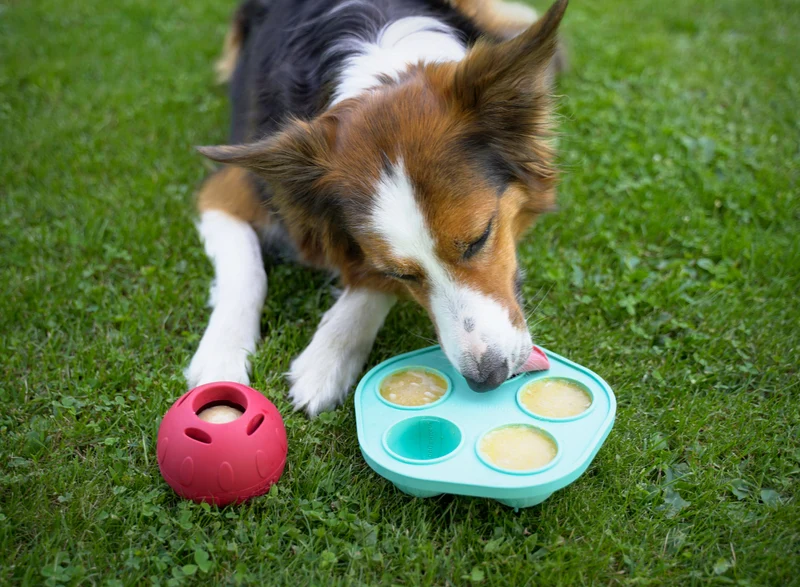 SmoothieDog | Schleckball Set