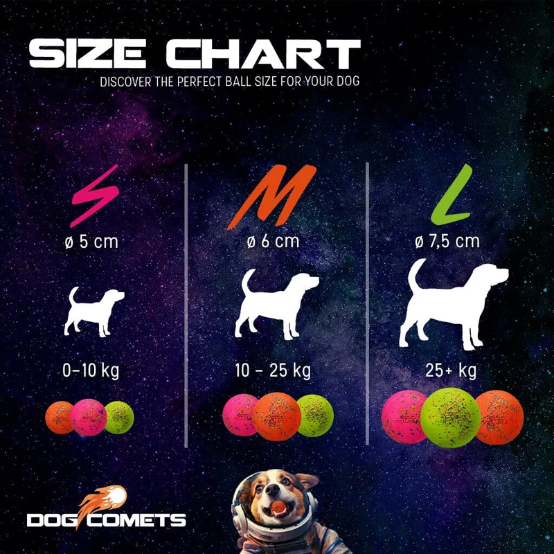 Dog Comets | Ball STARDUST 2-er Pack