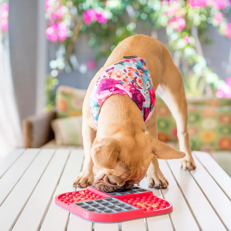 LickiMat Slomo Schleckmatte - Anti-Stress & Beschäftigung für Hunde