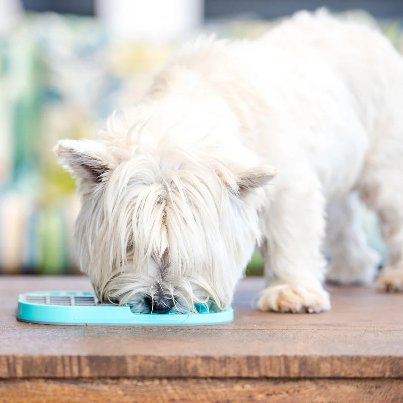 LickiMat Slomo Schleckmatte - Anti-Stress & Beschäftigung für Hunde