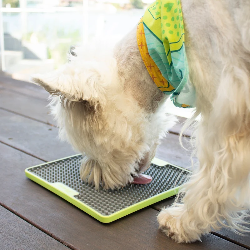 LickiMat Soother Tuff Schleckmatte – Beruhigung & Stressabbau für ängstliche Hunde