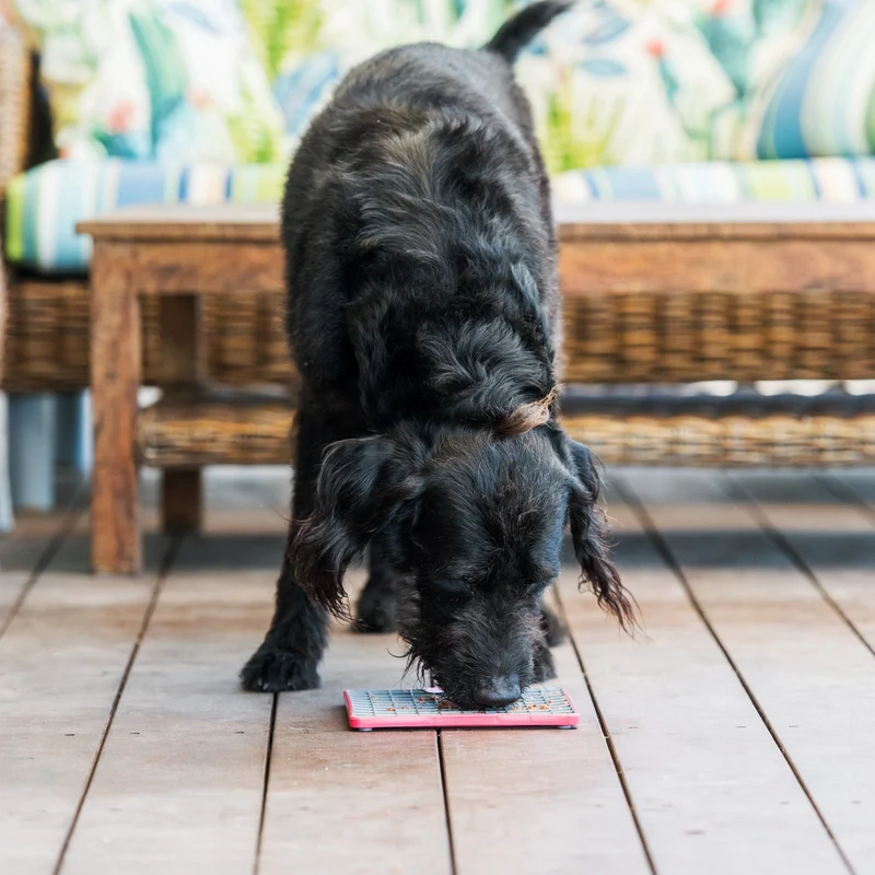 LickiMat Playdate Tuff – Robuste Schleckmatte für Hunde gegen Langeweile & Stress