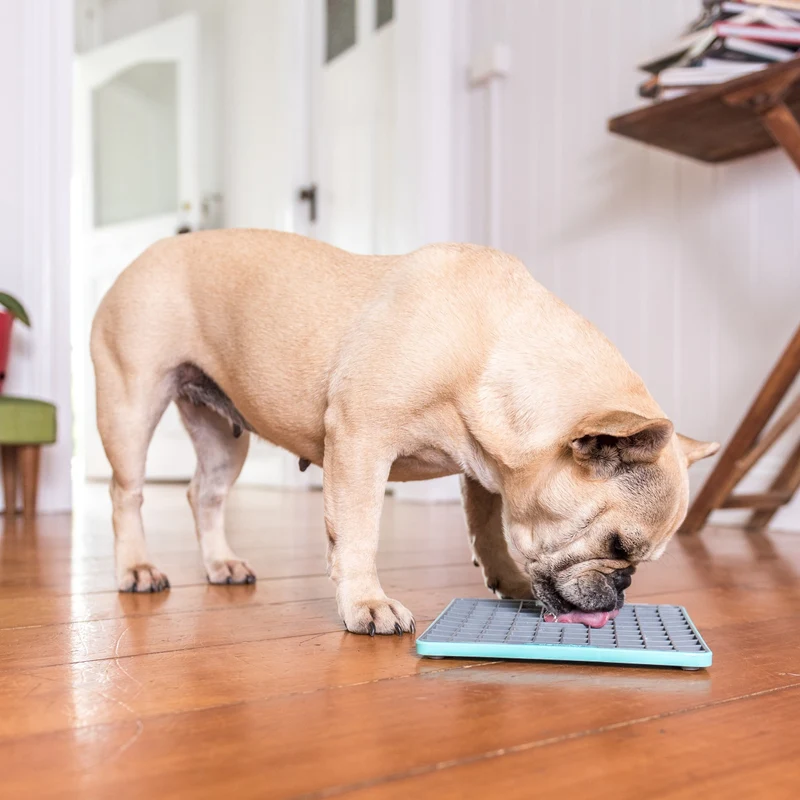 LickiMat Playdate Tuff – Robuste Schleckmatte für Hunde gegen Langeweile & Stress