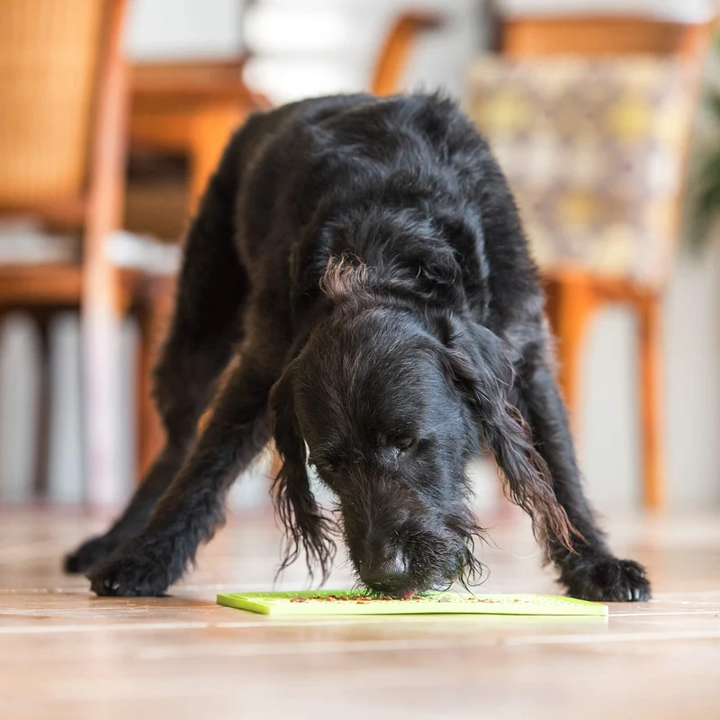 LickiMat Classic Buddy Large – Premium Schleckmatte für entspannte & glückliche Hunde