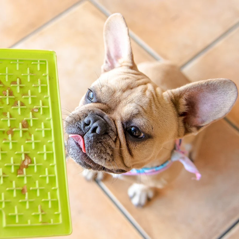 LickiMat Classic Buddy Schleckmatte für Hunde - Anti-Stress & Beschäftigung