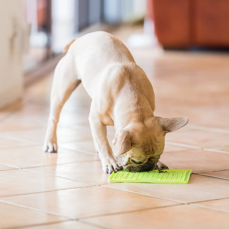 LickiMat Classic Buddy Schleckmatte für Hunde - Anti-Stress & Beschäftigung