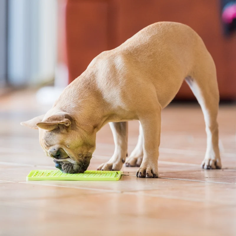 LickiMat Classic Buddy Schleckmatte für Hunde - Anti-Stress & Beschäftigung
