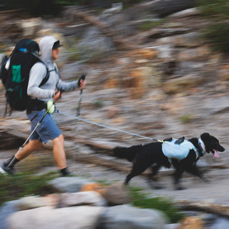 Ruffwear Hitch Hiker Leash – Premium Hüftleine mit verstellbarer Seilleine für freihändiges Wandern mit aktiven Hunden