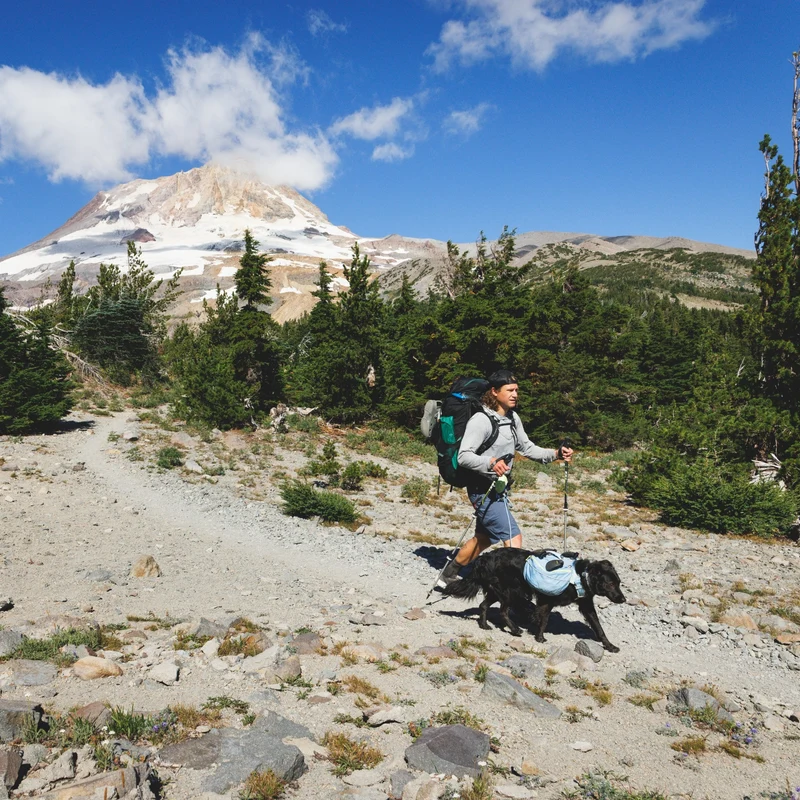 Ruffwear Hitch Hiker Leash – Premium Hüftleine mit verstellbarer Seilleine für freihändiges Wandern mit aktiven Hunden