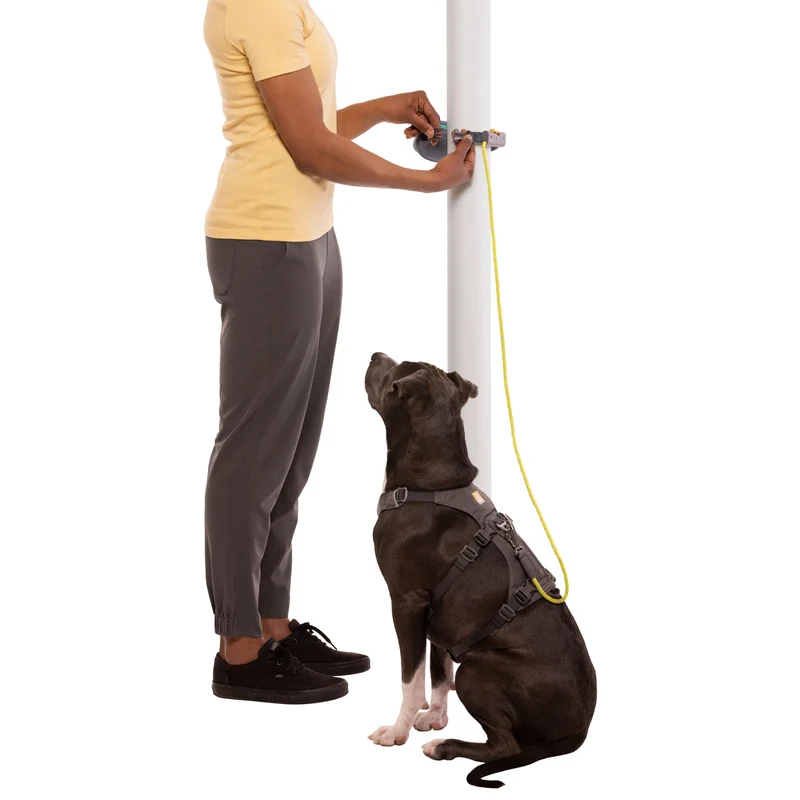 Ruffwear Hitch Hiker Leash – Premium Hüftleine mit verstellbarer Seilleine für freihändiges Wandern mit aktiven Hunden
