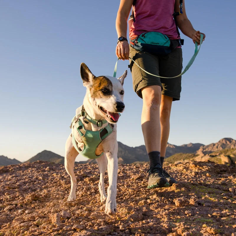 Ruffwear Hi & Light Leash – Ultraleichte Hundeleine ideal für kleine Hunde | Nur 54g, dünn & komfortabel