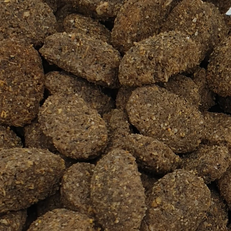 Henne Pet Food Kronch Active – Premium Trockenfutter mit hochwertigem Lachs für aktive & sportliche Hunde mit hohem Energiebedarf