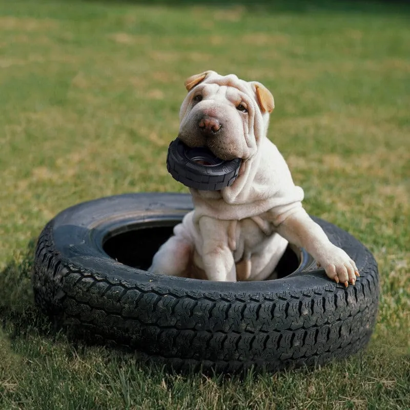 KONG | Extreme Tyres